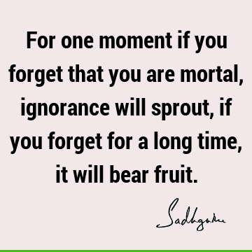 Truth Quotes : Philosophy, Wisdom, Humor, ignorance Quote