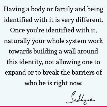 Work Quotes : limitation, identity Quote