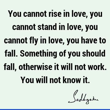 ng of you should fall, otherwise it will not work. You will not know it. : Funny, Love, Philosophy, Relationship Quote