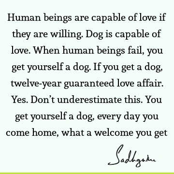 Funny Quotes : Love Quote