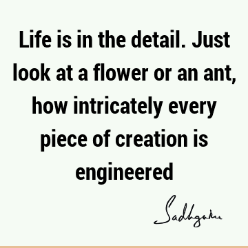 creation Quotes : Life Quote