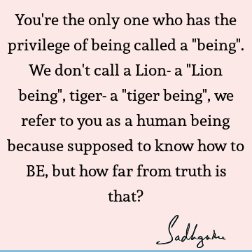 Truth Quotes : Humor, being human Quote