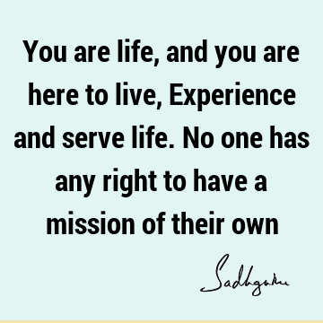experience Quotes : Life Quote