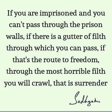 Freedom Quotes :  Quote