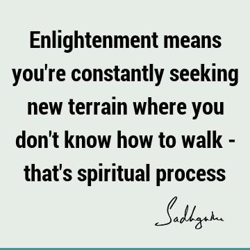 seeking Quotes : spirituality, spiritual process Quote