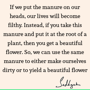 Wisdom Quotes :  Quote