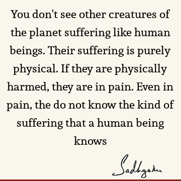 suffering Quotes : being human Quote