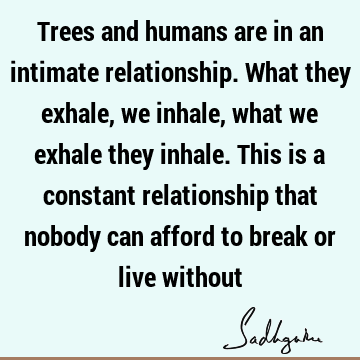 Relationship Quotes : Nature Quote