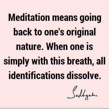 Meditation means going back to one's original nature. When one is simply with this breath, all ident