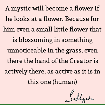 creation Quotes : mysticism Quote