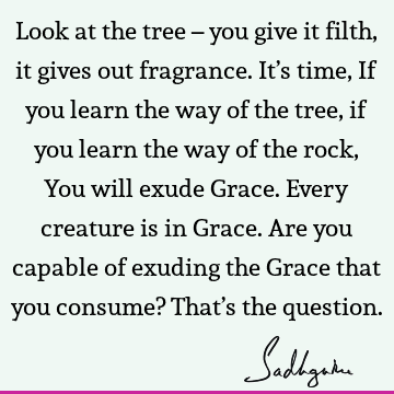 grace Quotes :  Quote