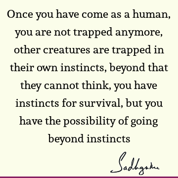 possibility Quotes : being human, suffering Quote